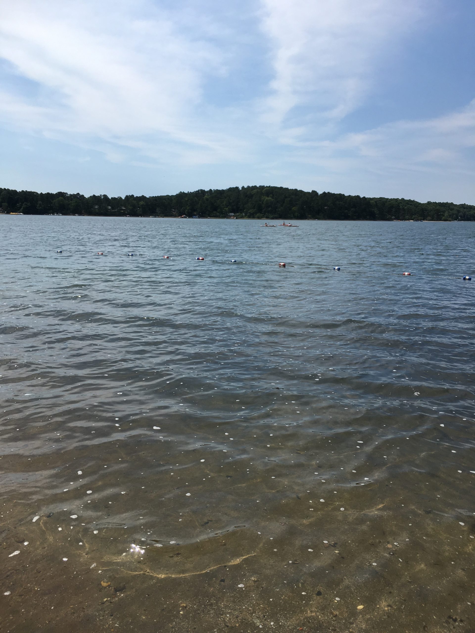 Pond Stories A Not Quite Perfect Peter’s Pond Association to