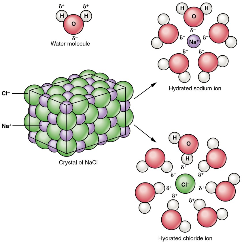 Net Ionic Equation Chemistry Geeks