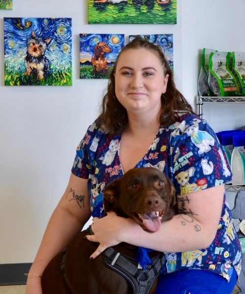 Naples, FL Veterinarian Affordable PetCare Hospital