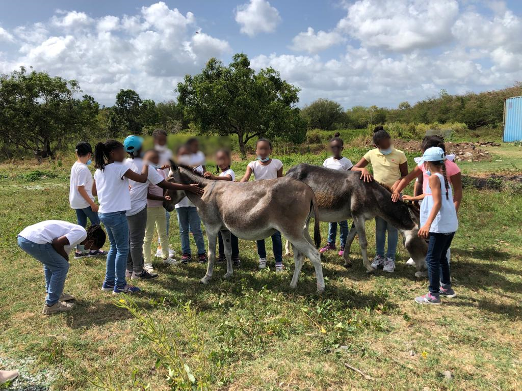 Visite la miellerie SaintAnge à RivièreSalée