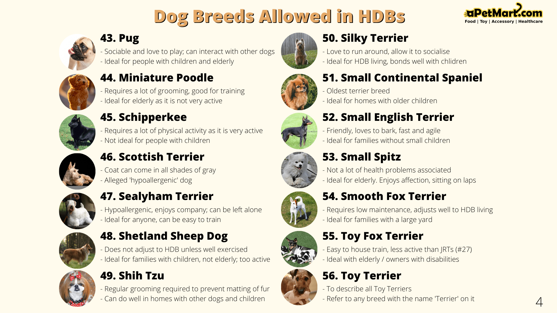 Guide to HDB Latest Approved List of 63 Dog Breeds & Pets in Singapore