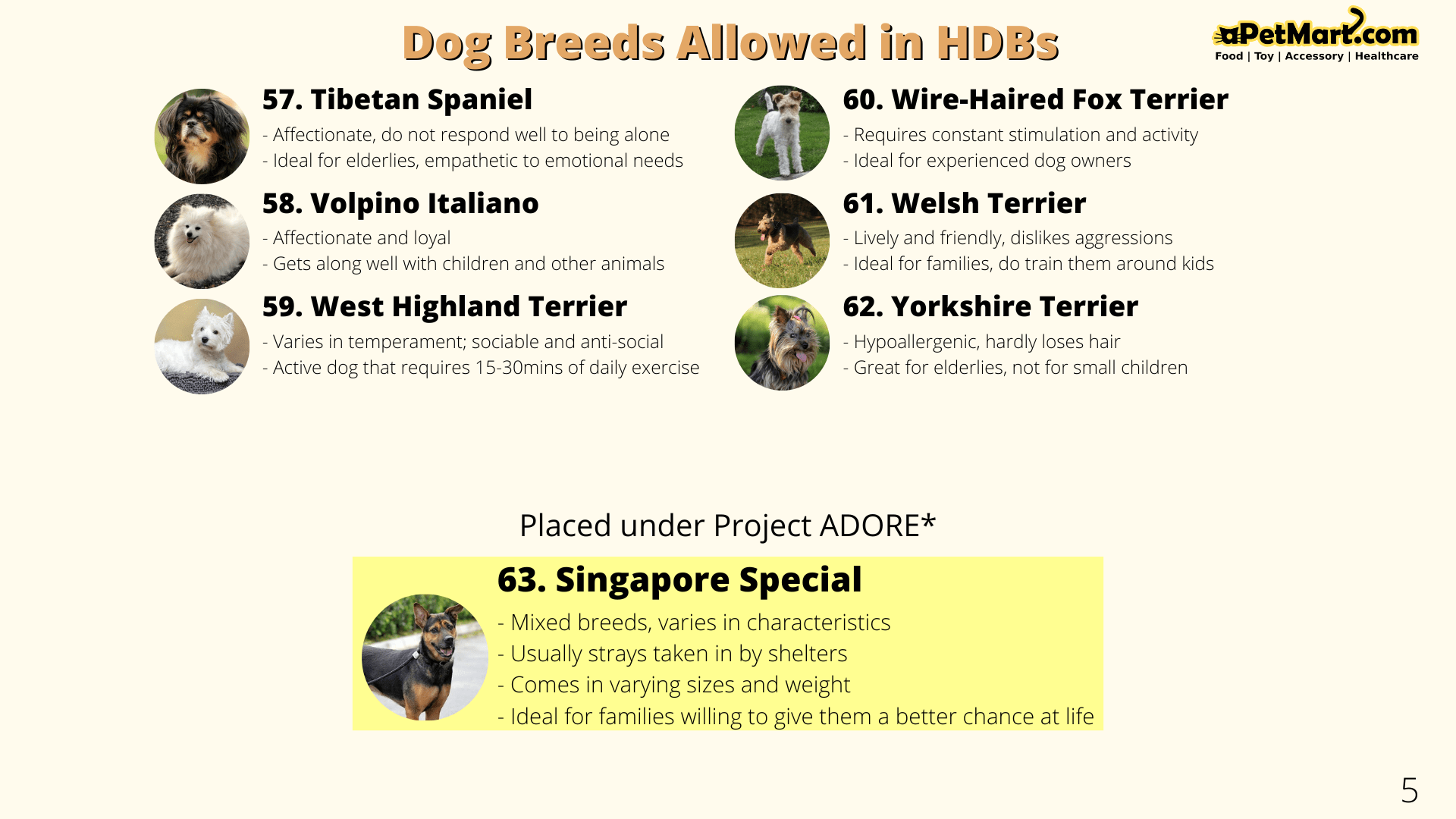 Guide to HDB Latest Approved List of 63 Dog Breeds & Pets in Singapore