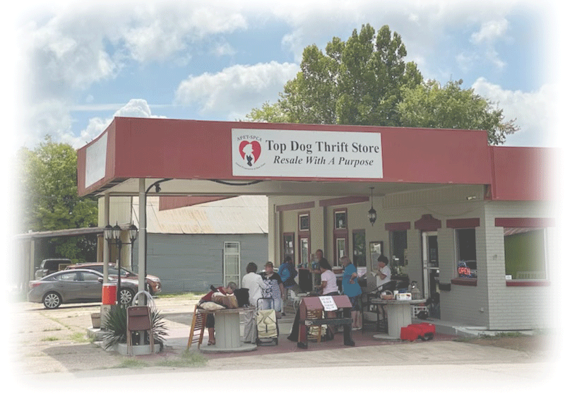 Top Dog Thrift Store 2