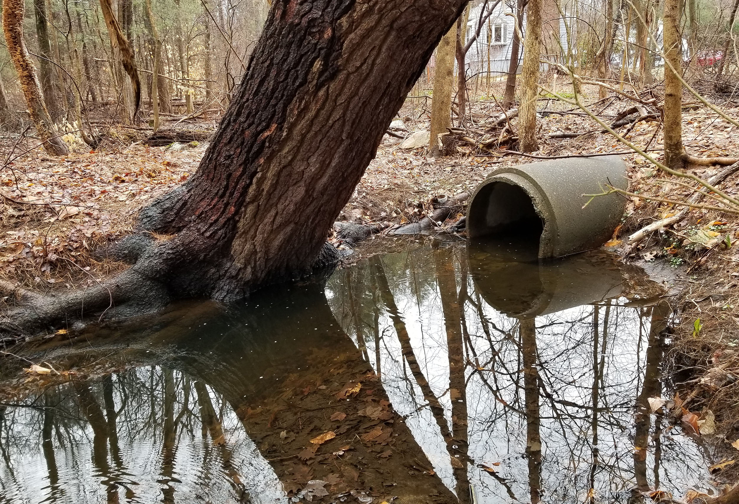 Oxbow Road Drainage Study and Design Apex Companies