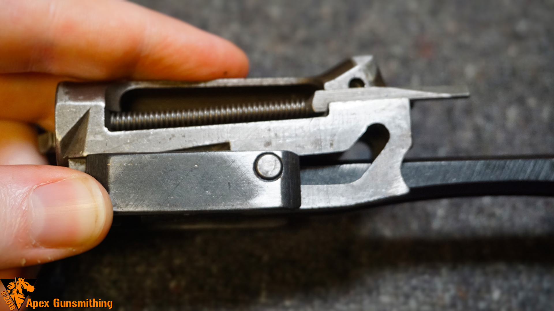 Disassembly Guide Winchester Model 50 12 Gauge Apex Gunsmithing