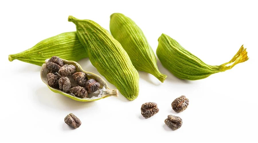 Cardamom Apex International