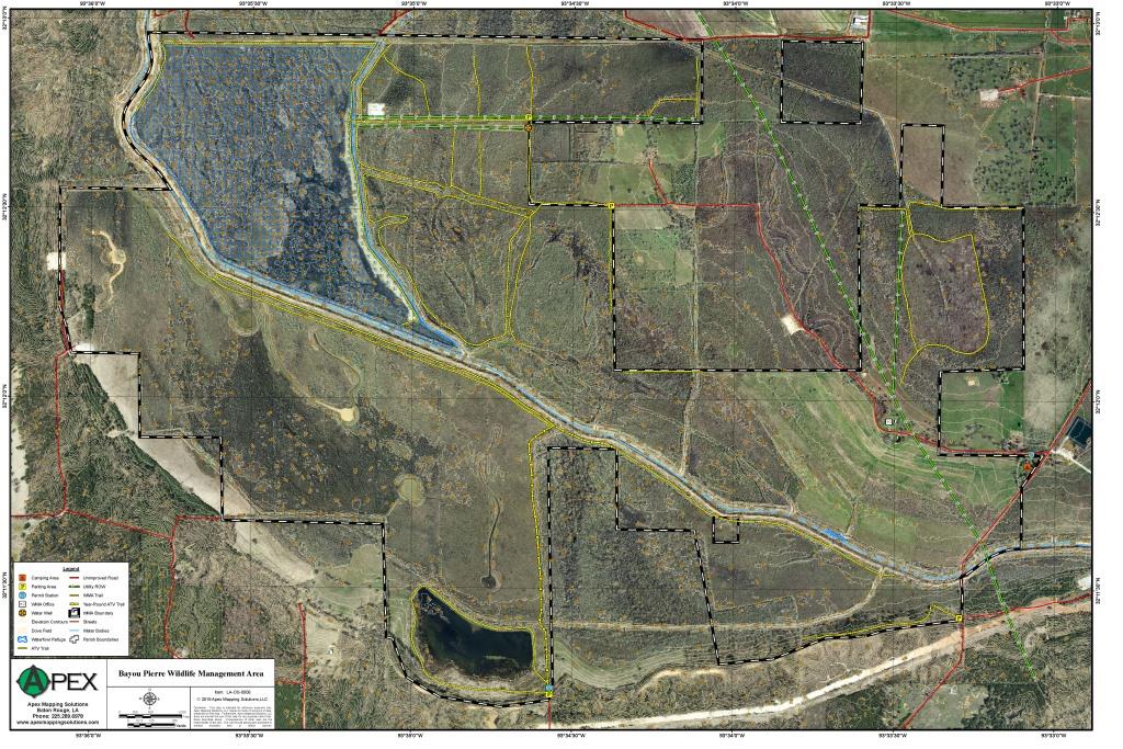 Bayou Pierre Wildlife Management Area