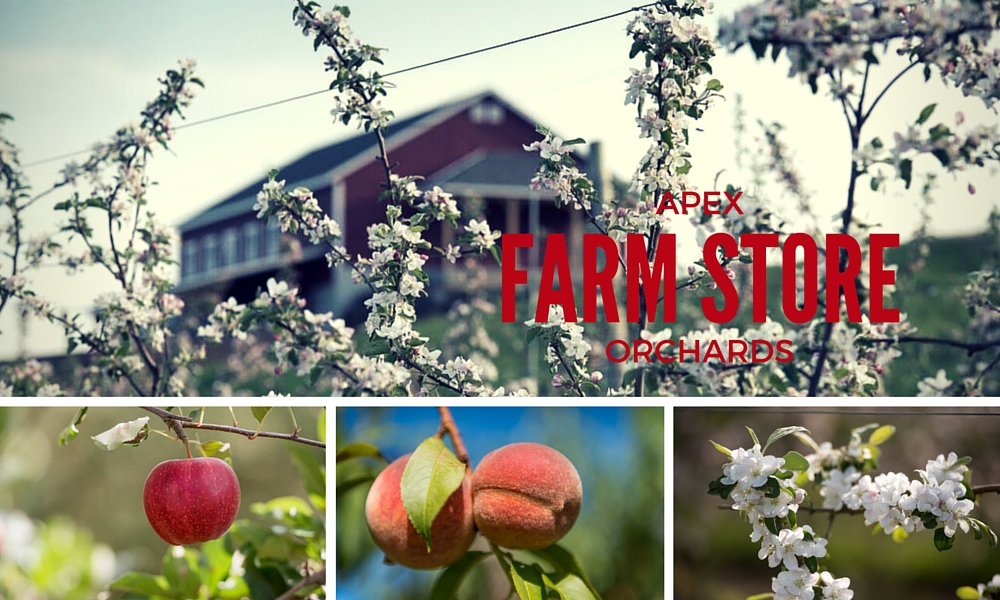 FARM STORE Apex Orchards