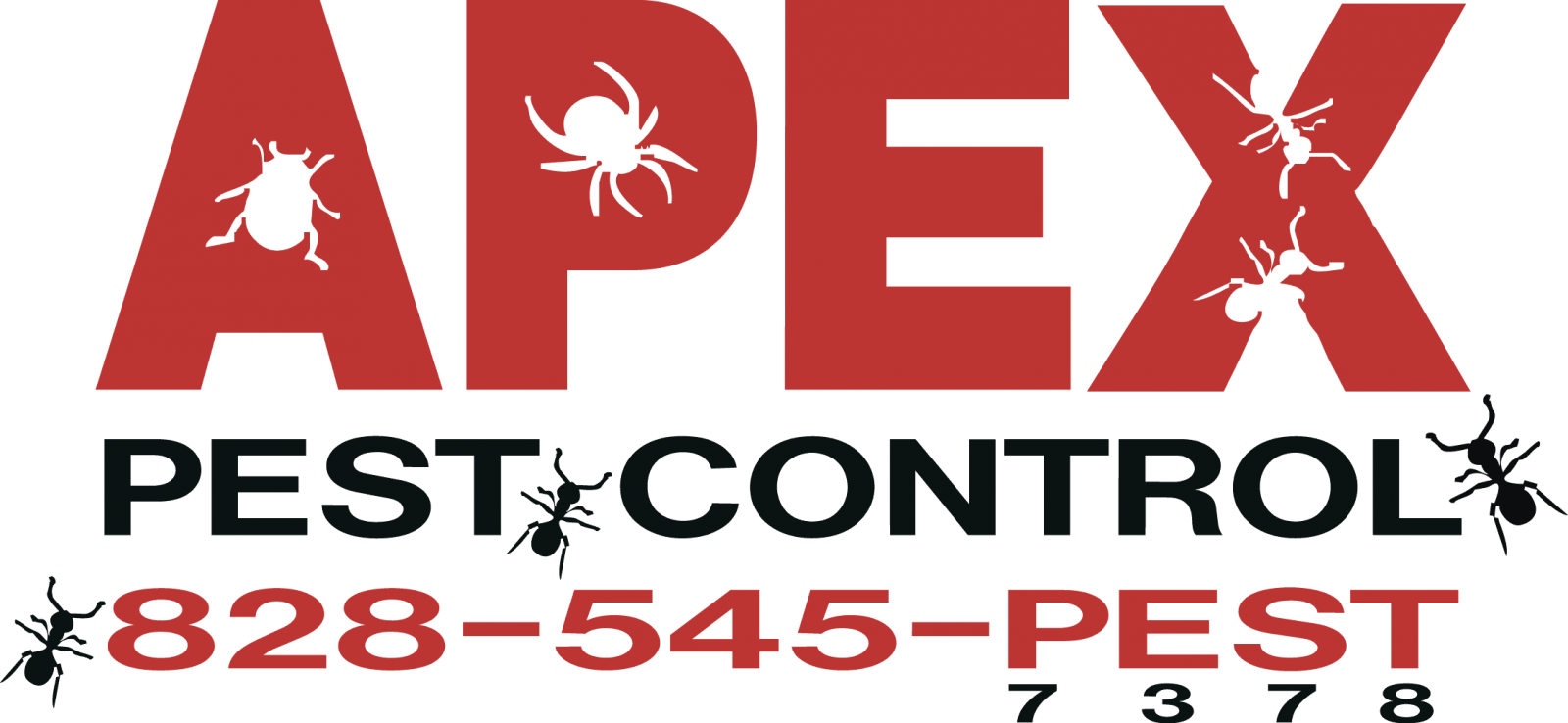1. Termmites apex pest control