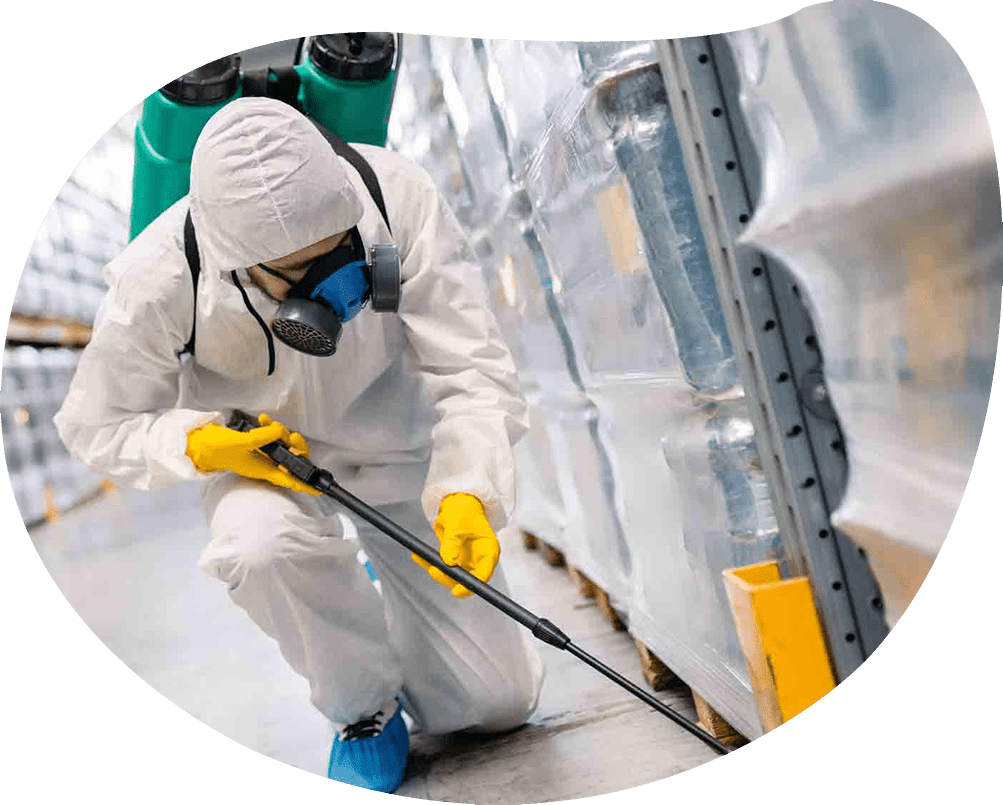 About Us APEX Pest Solutions