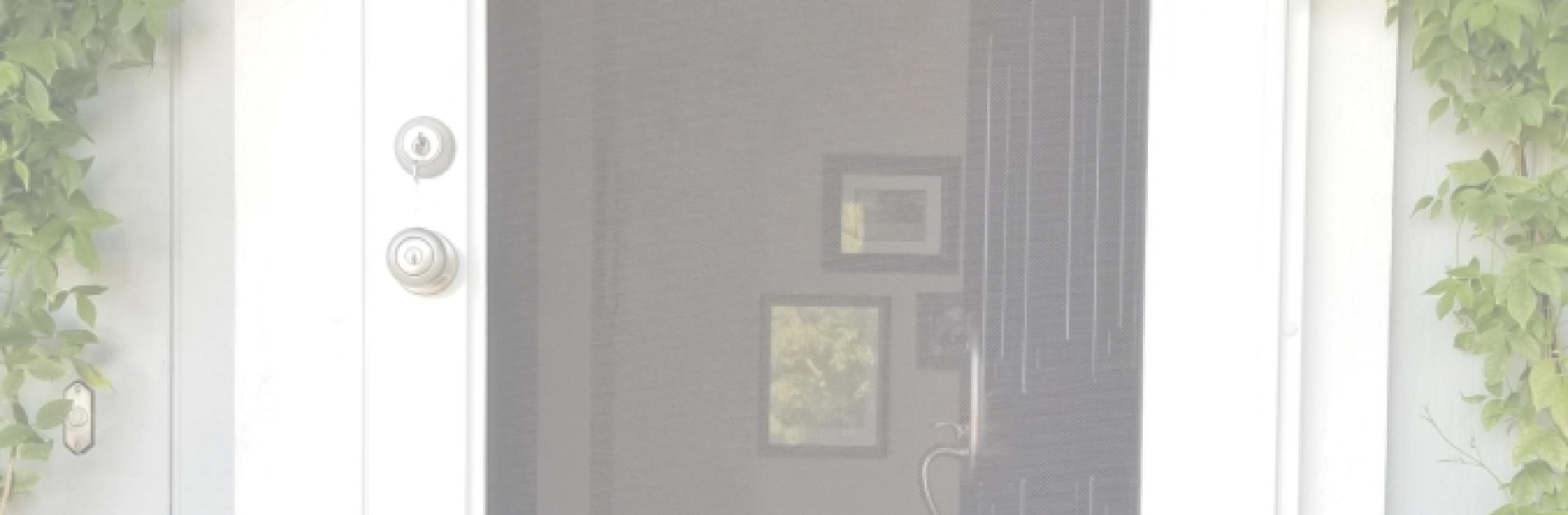 Security Doors Apex Screens and Doors