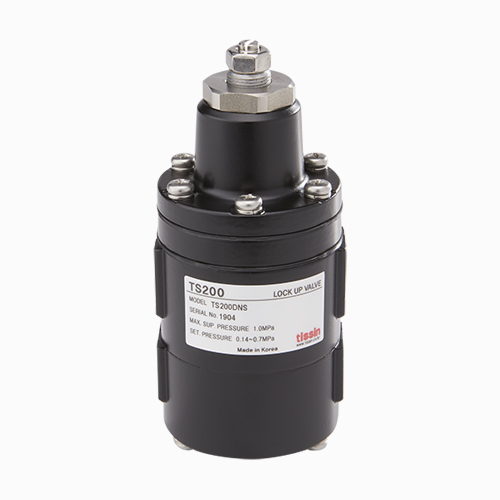 TS200 Series Pneumatic Lock Up Valve · Apex Industrial Solutions