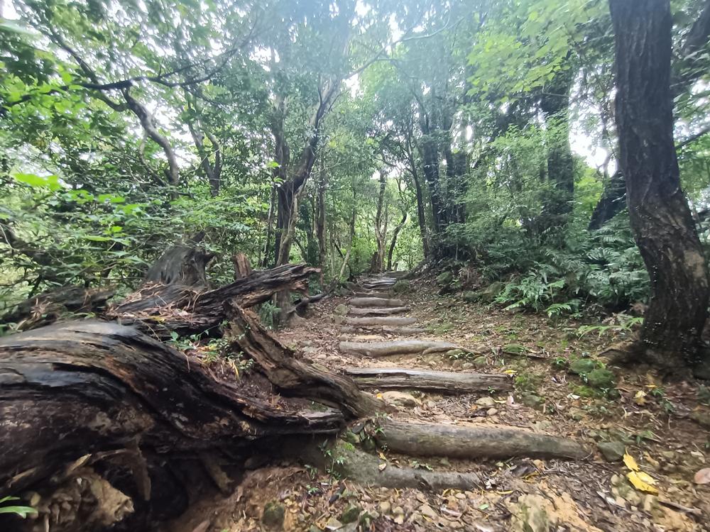 深坑  猴山岳登山步道