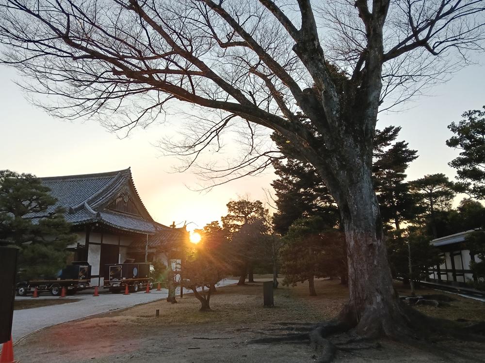 近畿旅行(05)  京都  二條城  之暮光