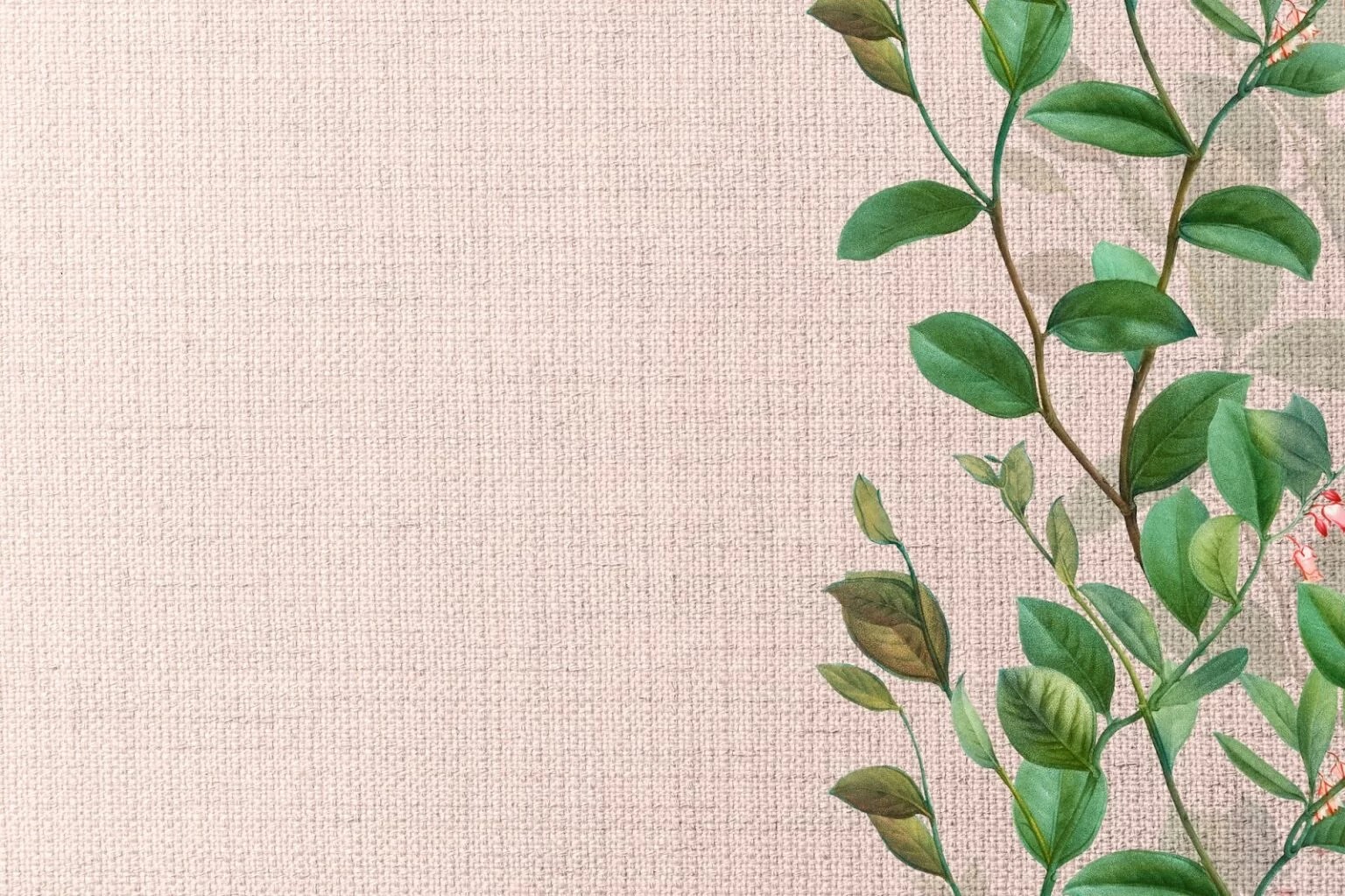 A Simple Guide on How to Hang Grasscloth Wallpaper