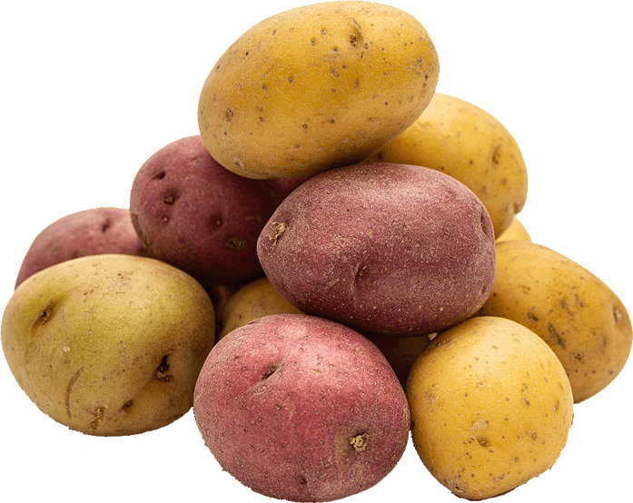 Associated Potato Growers Inc Grand Forks, ND