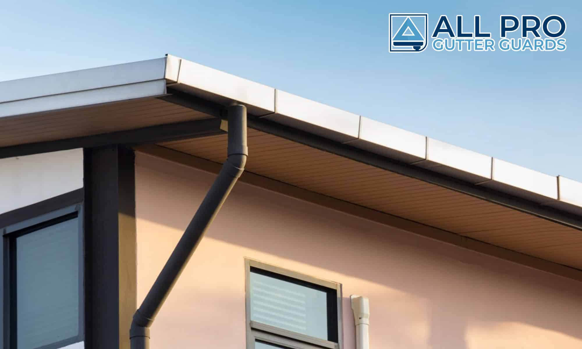 Gutter Guard Cleaning Service Gloucester County NJ Williamstown