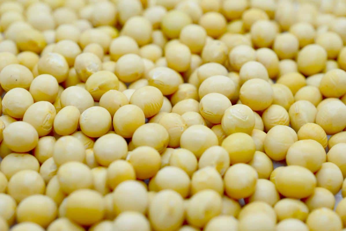 Lidea Obtain good soybean root development