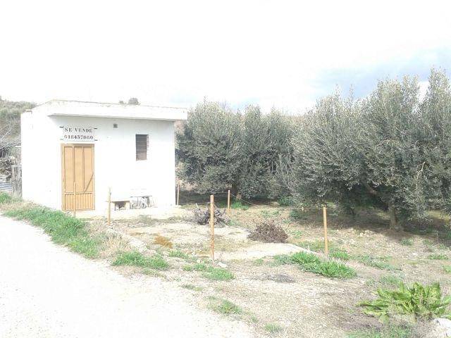 Venta Finca Olivar en Corella (Navarra) Afinca