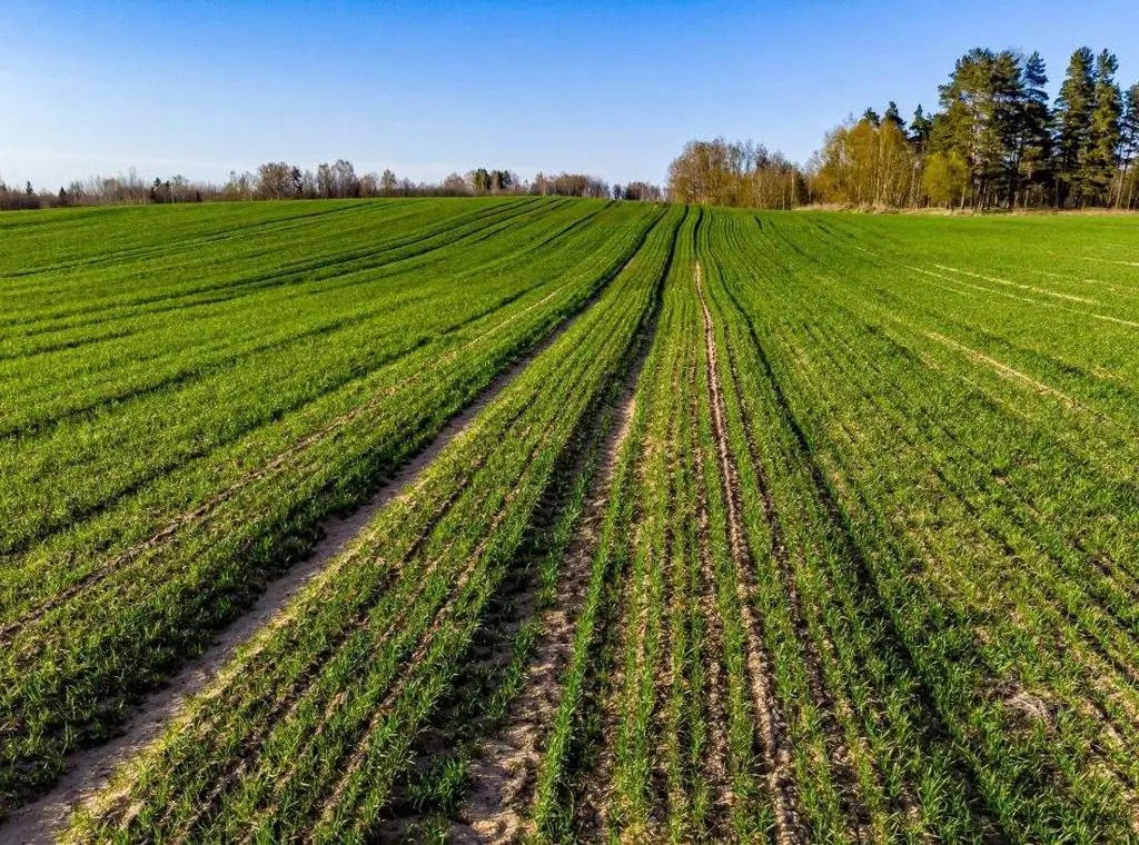 Poland Management of stateowned land in Q1 2023