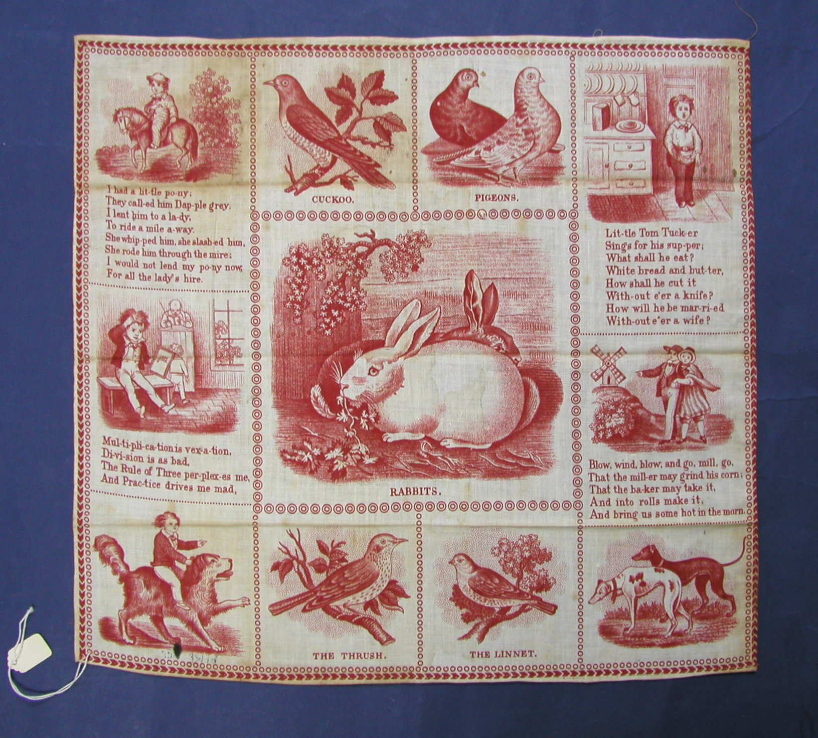 Do Rabbits Eat Each Other? Exploring Cannibalistic Behavior and