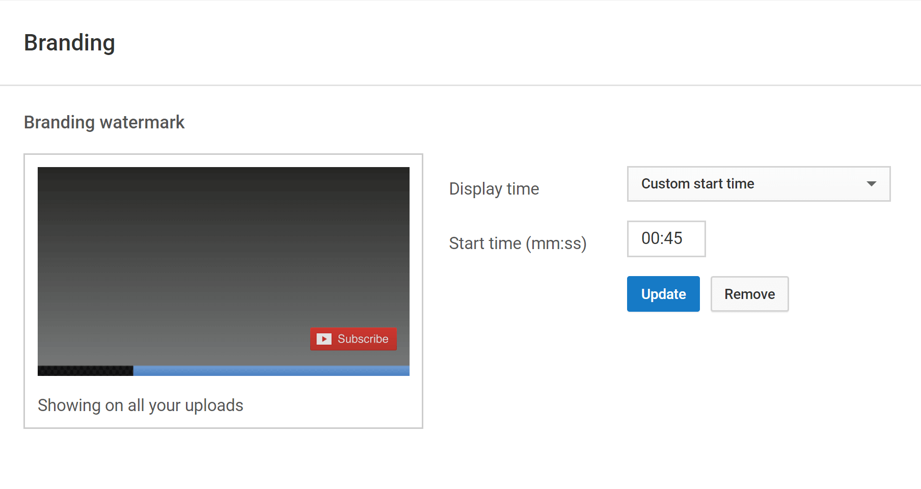 YouTube Watermark Best Practices for Channel Branding