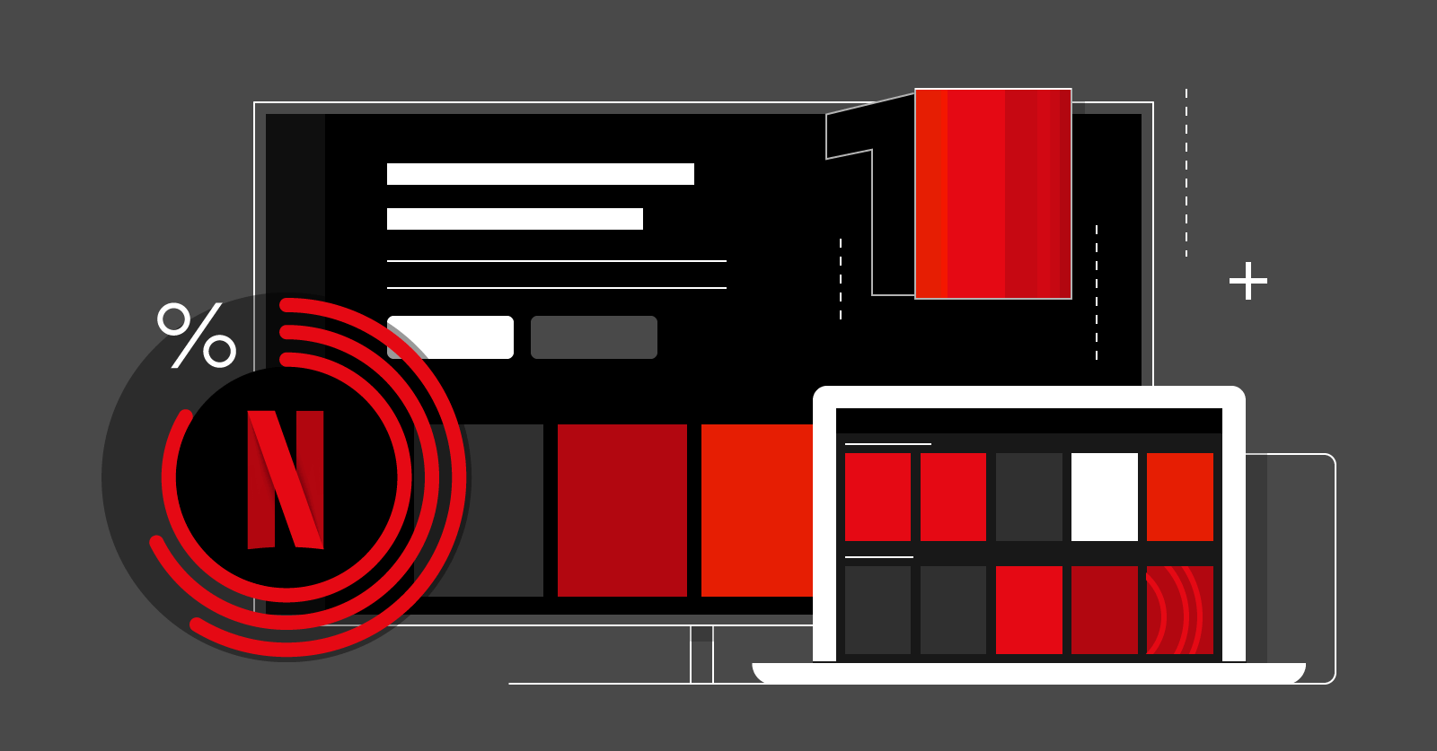 How many netflix accounts ascseharmony