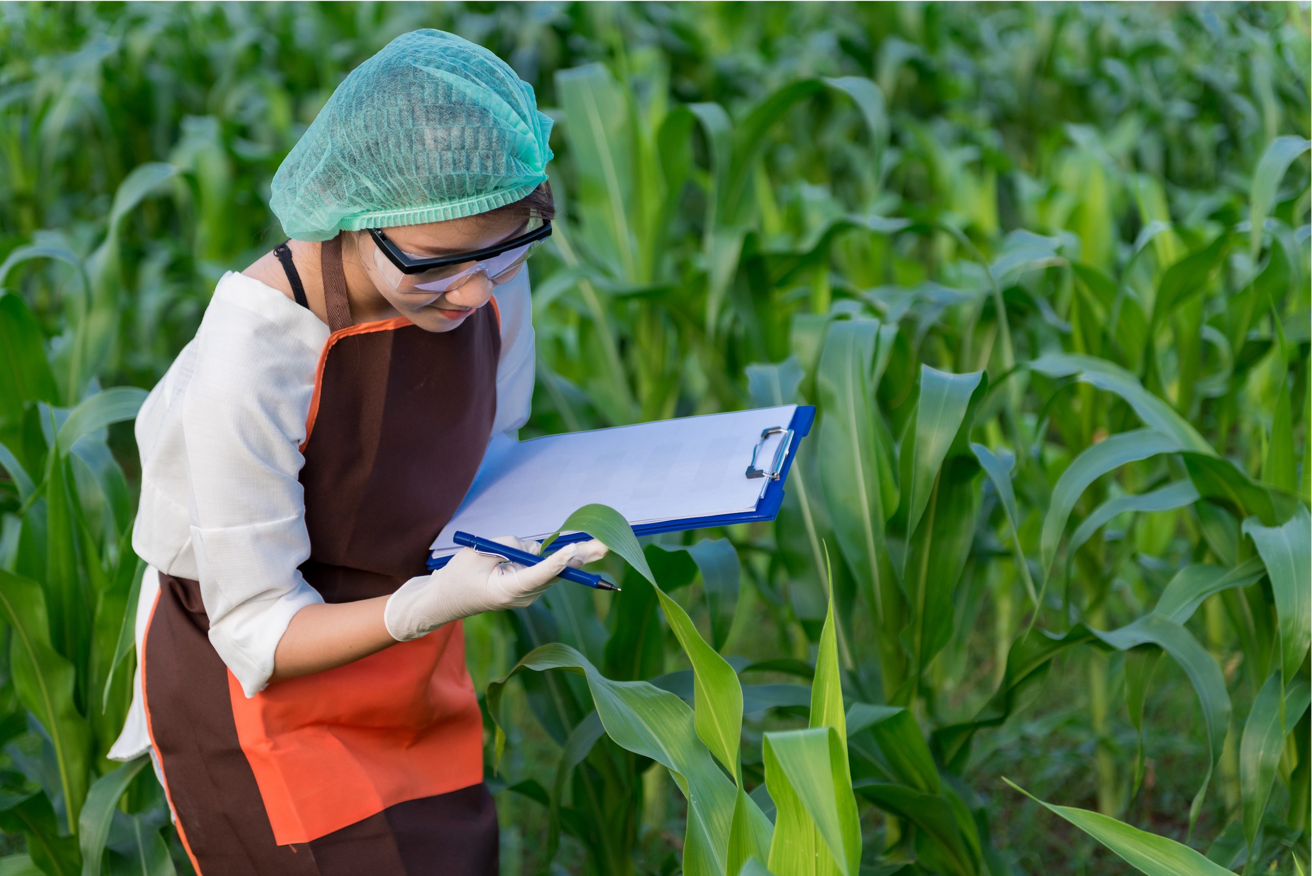 All Pearson BTEC Pearson