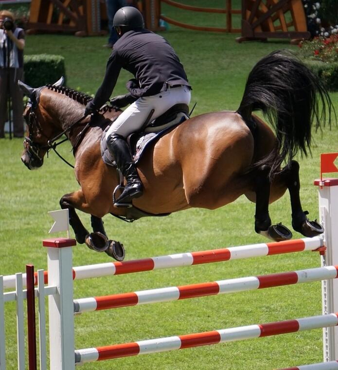 [Course hippique] Pmh trot (RouxmesnilBouteilles) Dieppe, site