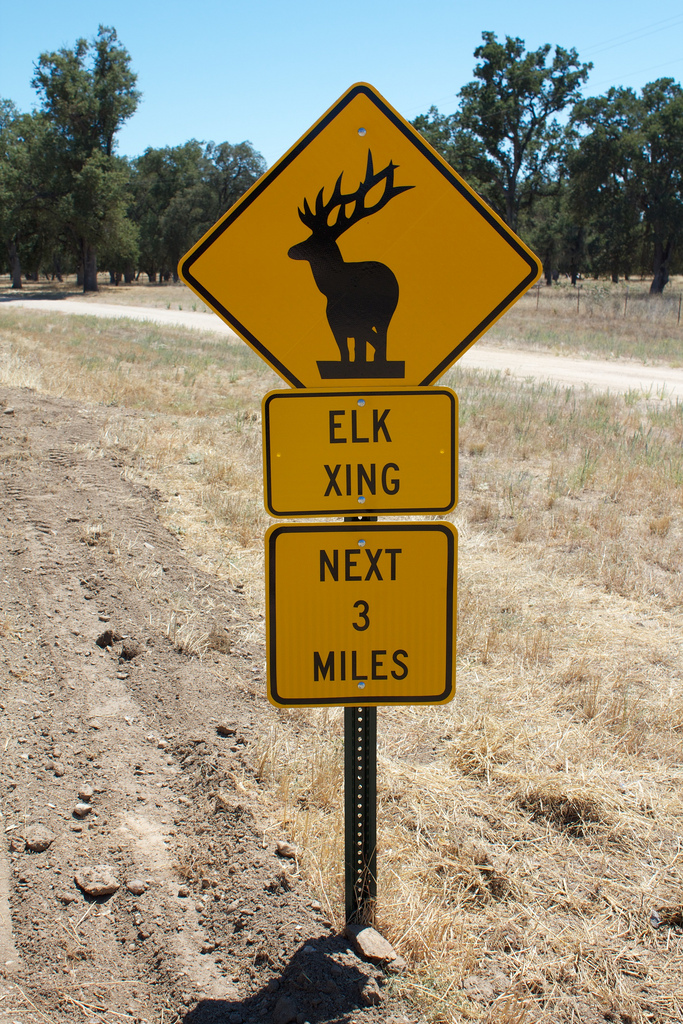 ELK Stack Crossing Where to find the ELK in OpenStack Summit Elastic