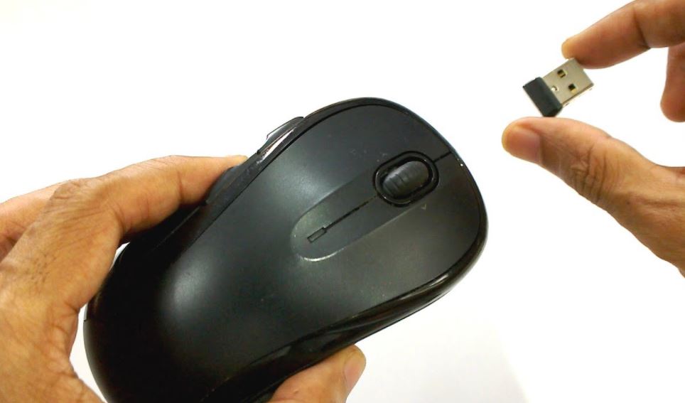 Ini Dia 10 JenisJenis Mouse yang Bisa Kamu Ketahui Dunia Games