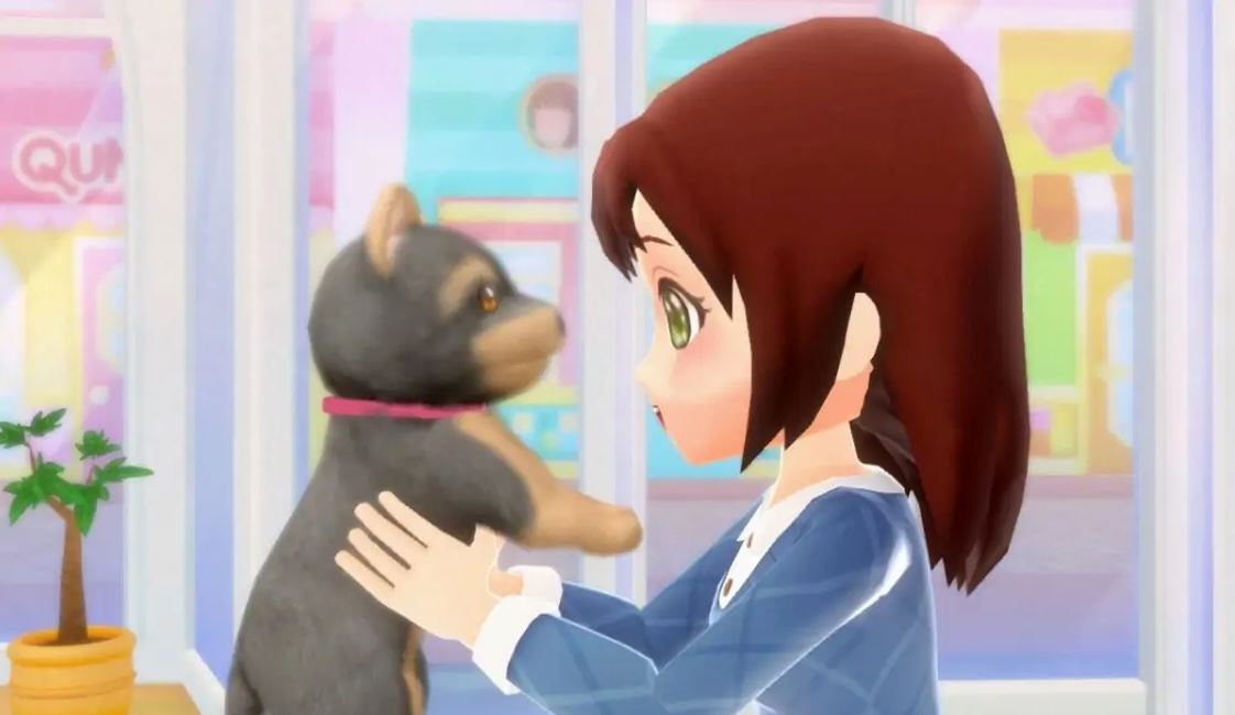 Nintendo to Release a Pet Shop Simulation Game for Switch Dunia Games