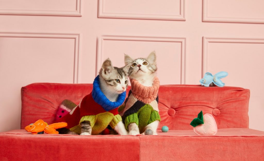 Spoil Your Pet at Nordstrom's Latest PopUp ELLE Canada Magazine Beauty, Fashion and