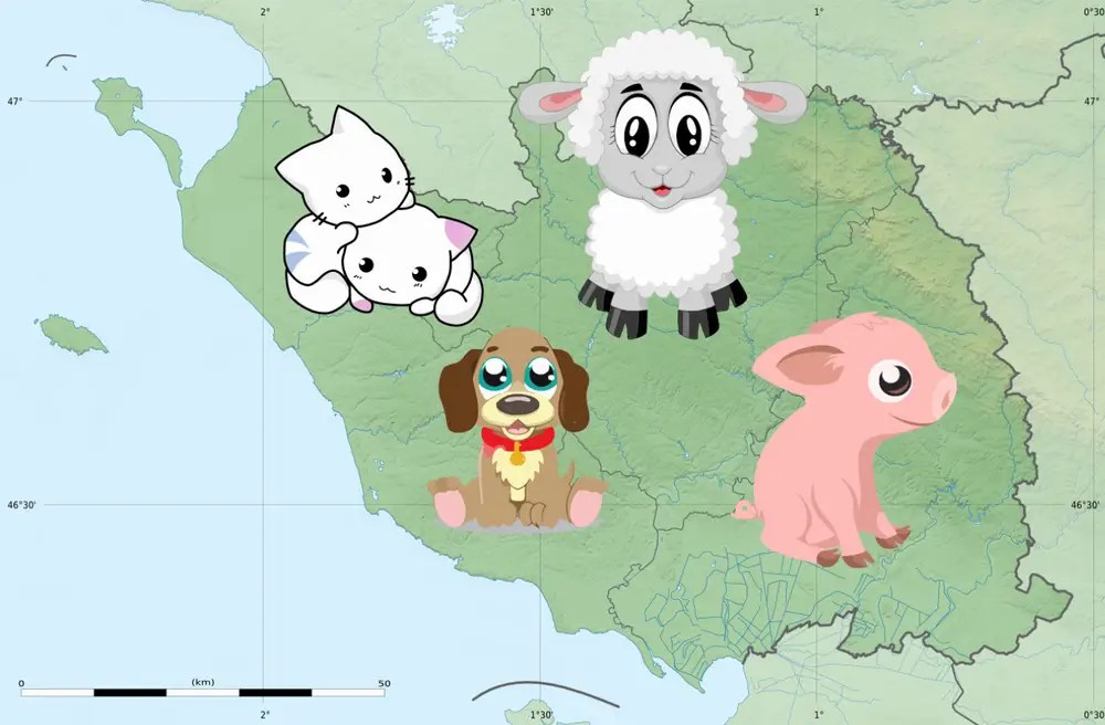 Quelles associations et refuges pour animaux y atil en Vendée