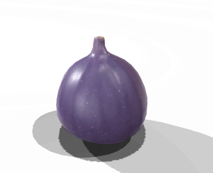 Fig - FlippedNormals