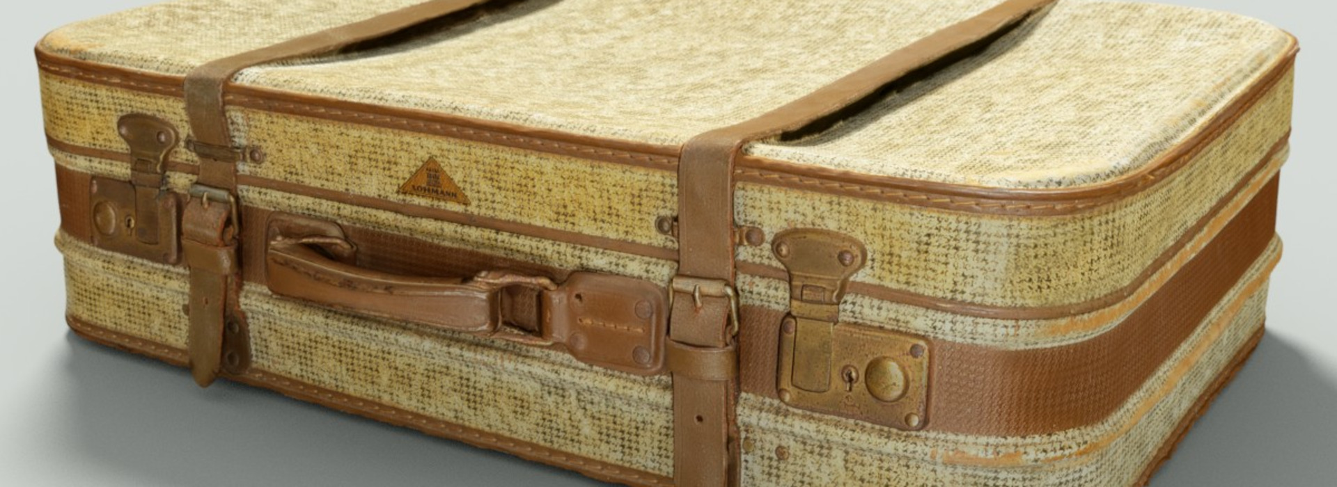 Realistic 3D Scanned Suitcase Luggage FlippedNormals
