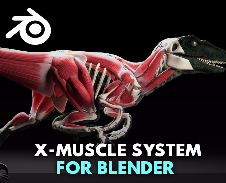 XMuscle System 4.0 for Blender FlippedNormals