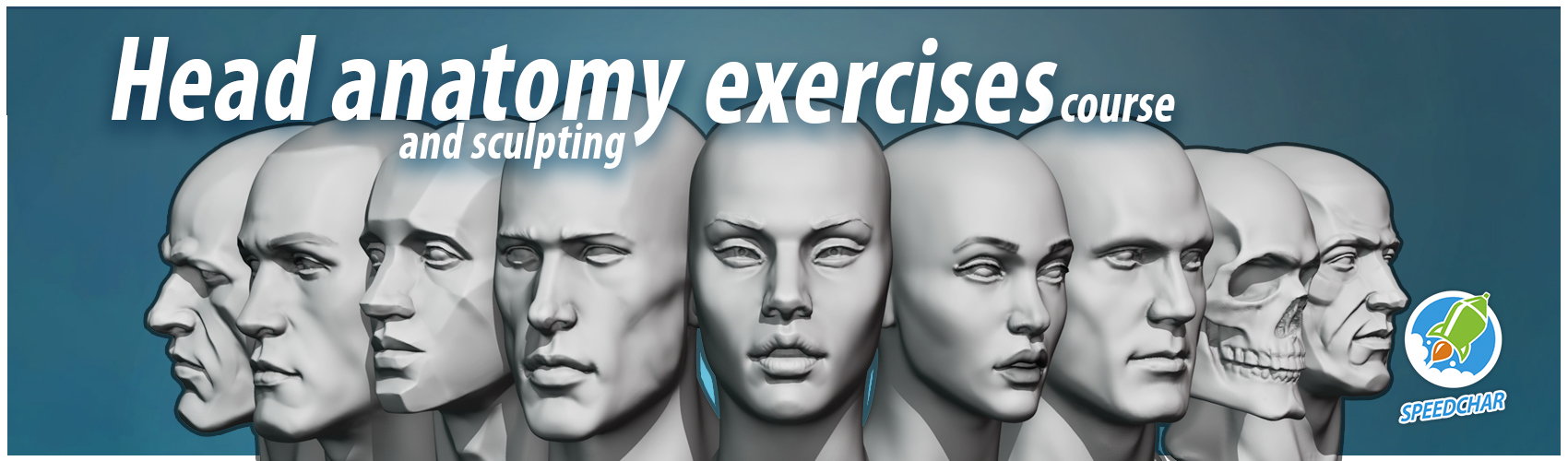 Head Anatomy and Sculpting Exercises FlippedNormals