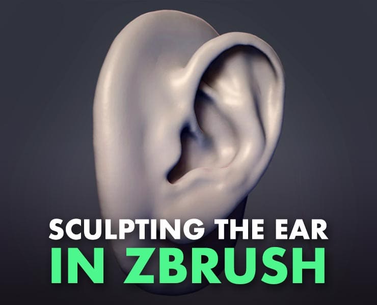 How to Sculpt the Ear in Zbrush FlippedNormals