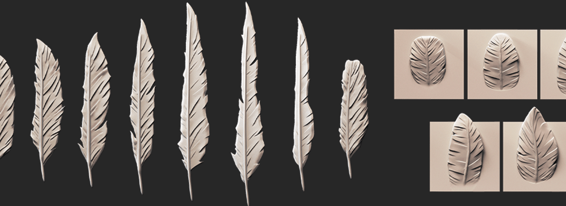 Stylized Feather Brushes for Zbrush FlippedNormals