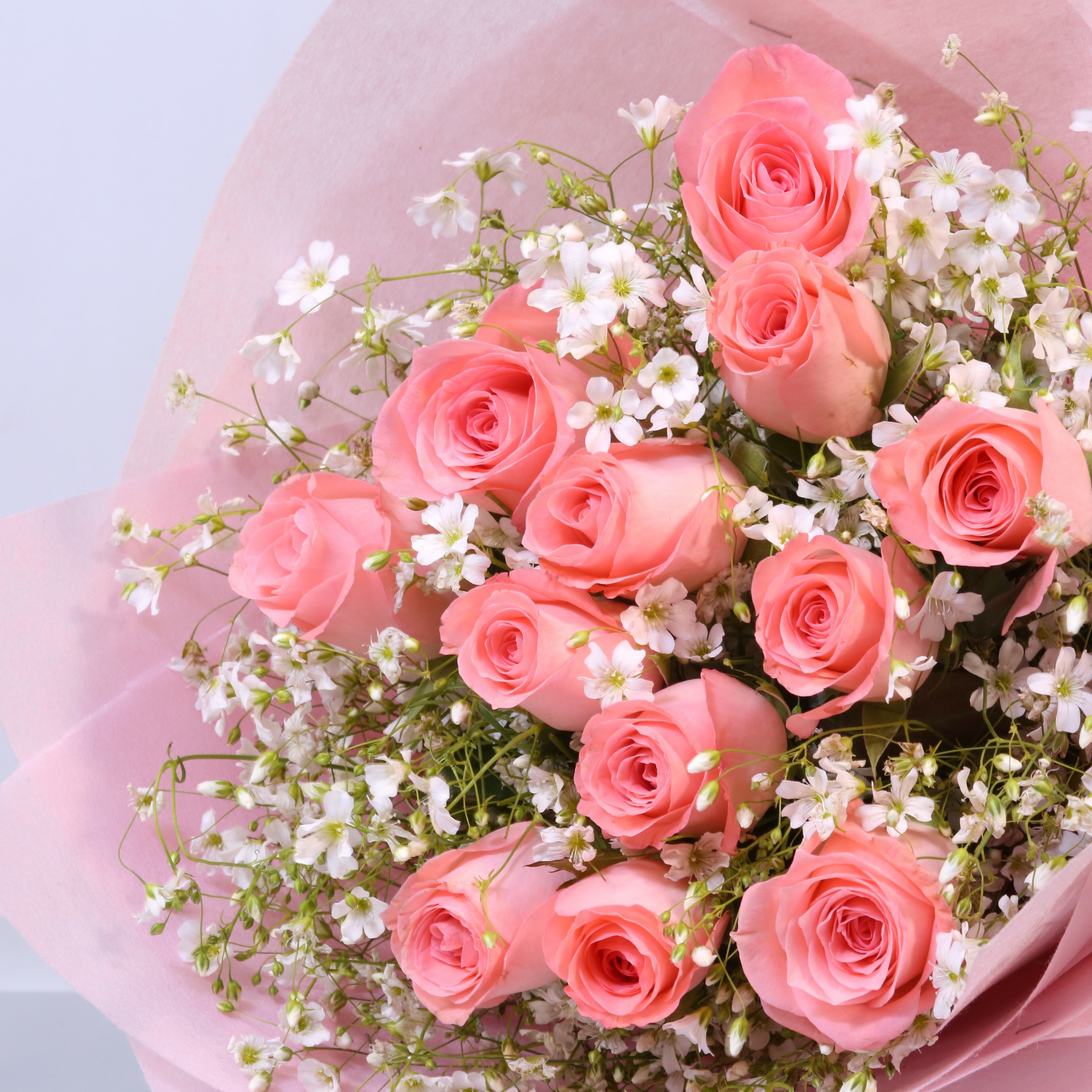 Buy/Send Sovereign Blush Online FloraIndia