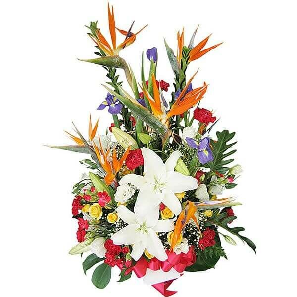 Send Flower Basket Arrangement Online FloraIndia