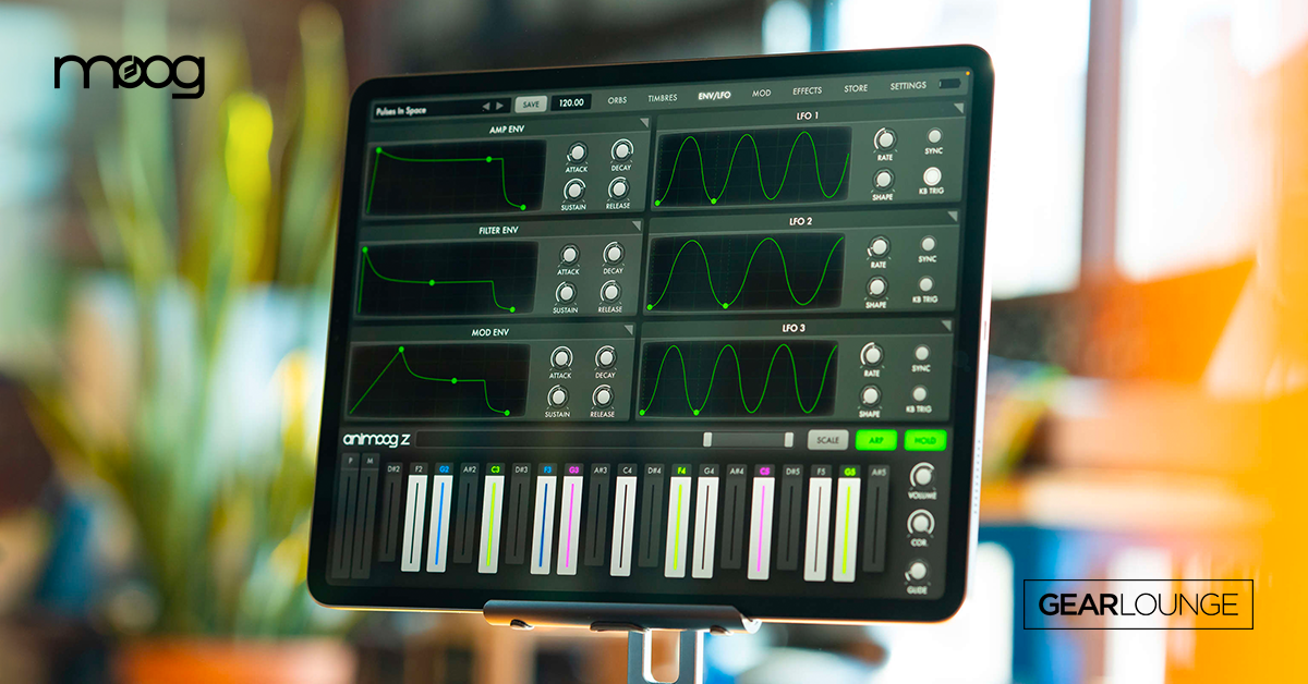 [Moog Music] Animoog Z 출시 Gearlounge
