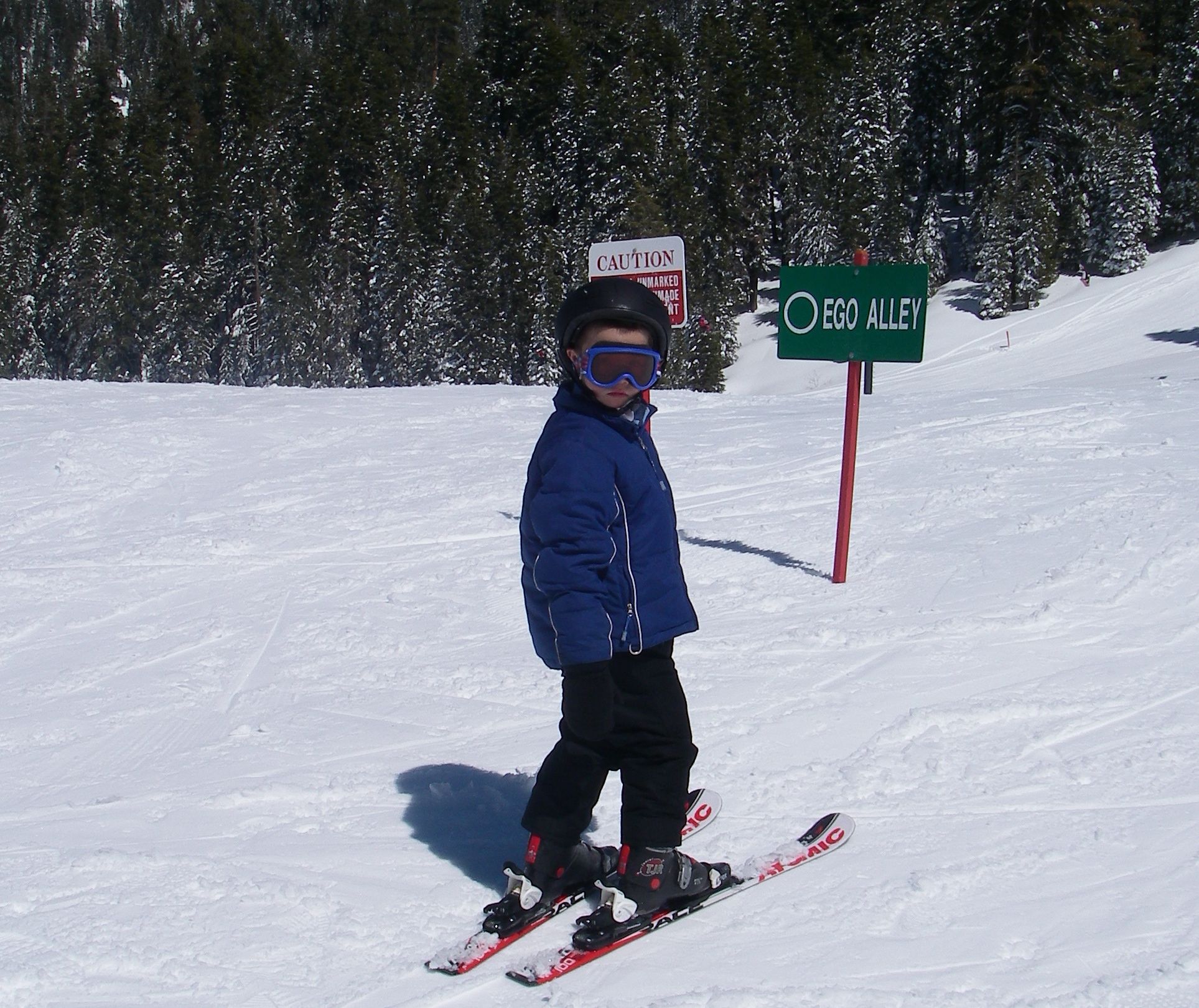 Mountain Escape Close to Dodge Ridge Ski Resort and Pinecrest Lake