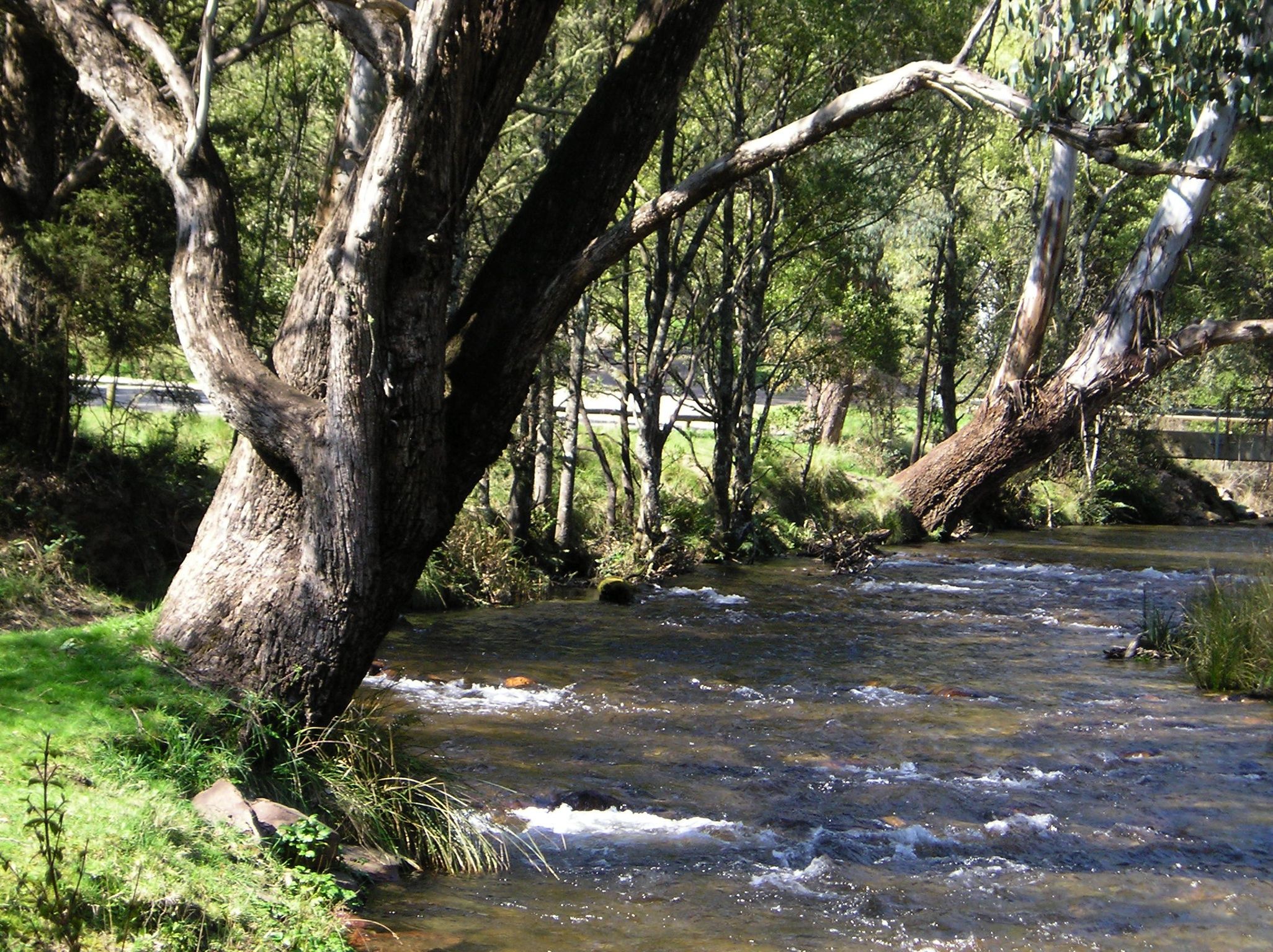 Beautiful house in Victorian Alpine Region. At the foot of Mt Buller