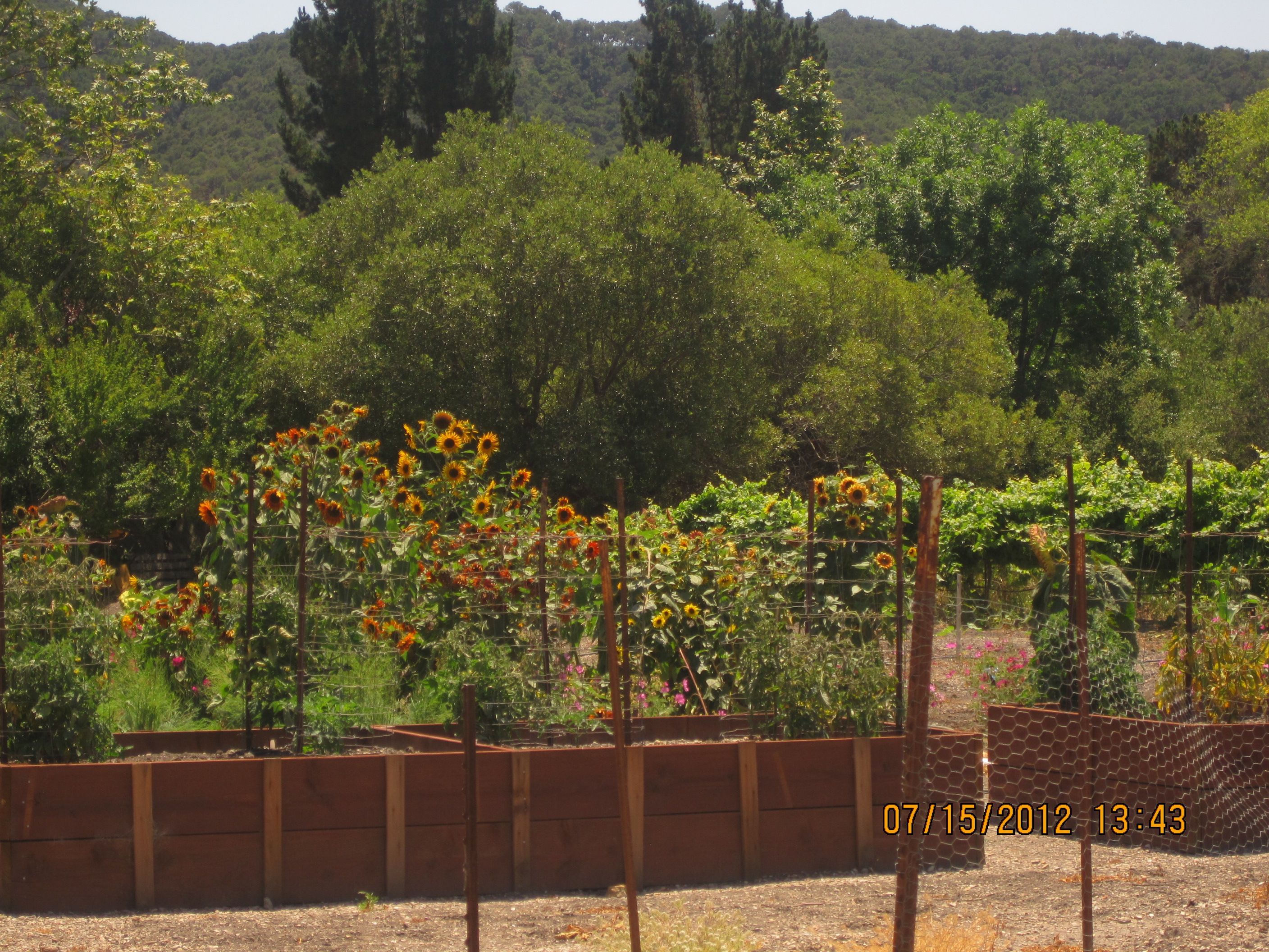 Beautiful 1300 sq ft , one bedroom home with garden, vineyard, and