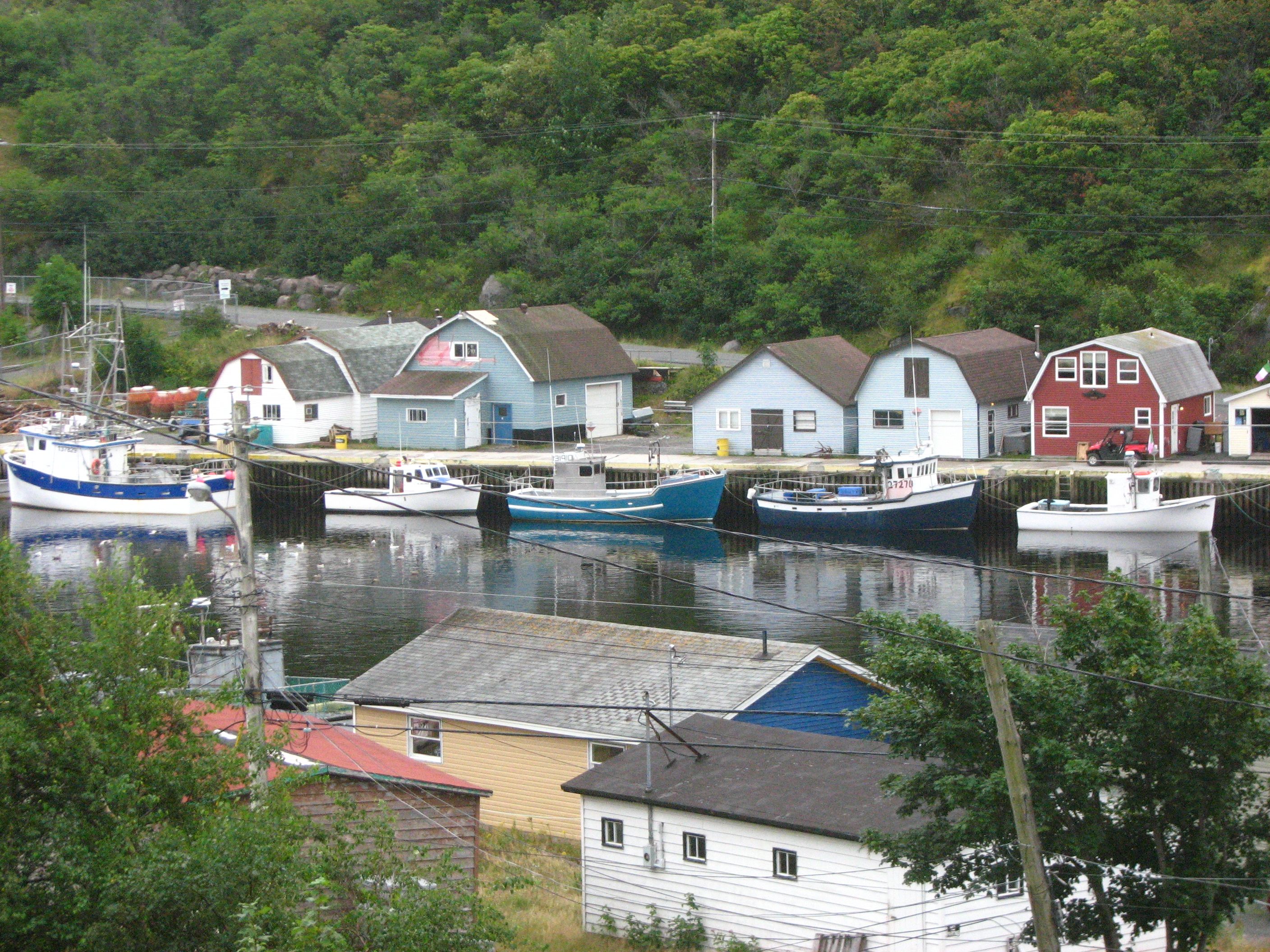 CottageHill Petty Harbour