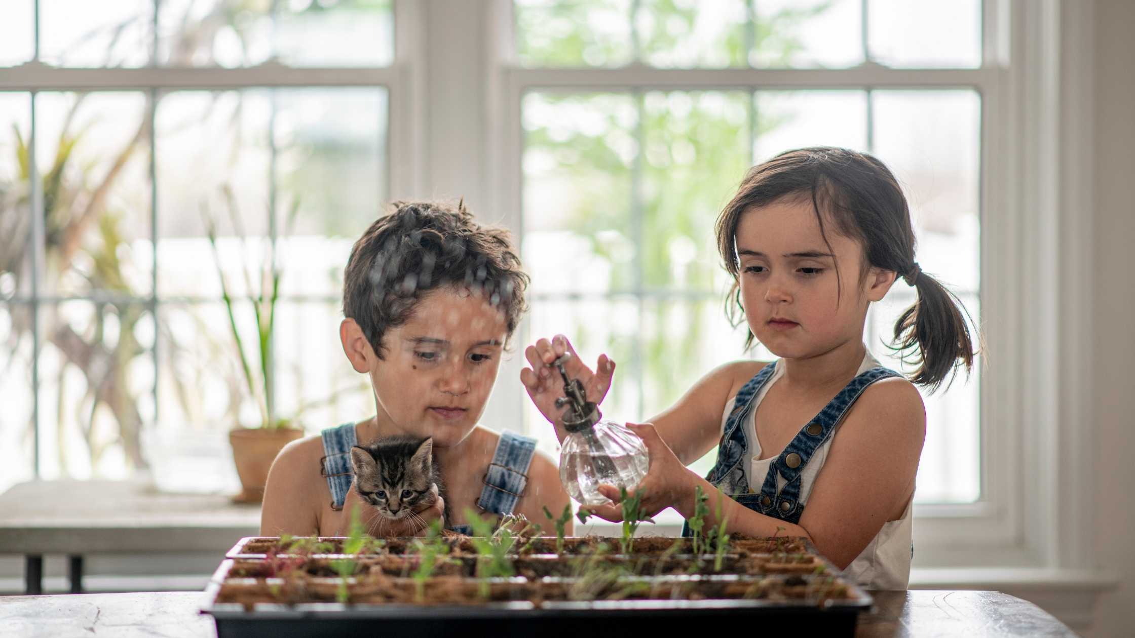 Less Mess Canada How to Make an Indoor Herb Garden
