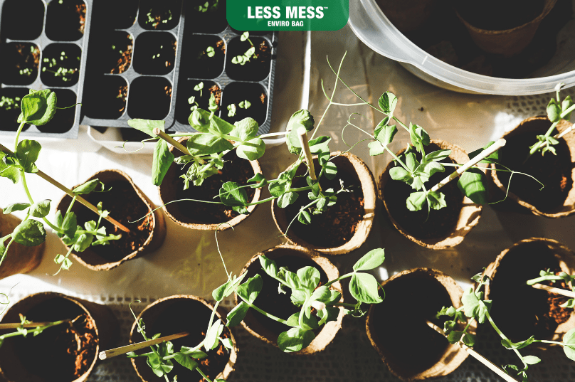 Less Mess Canada Guide to Backyard Gardening