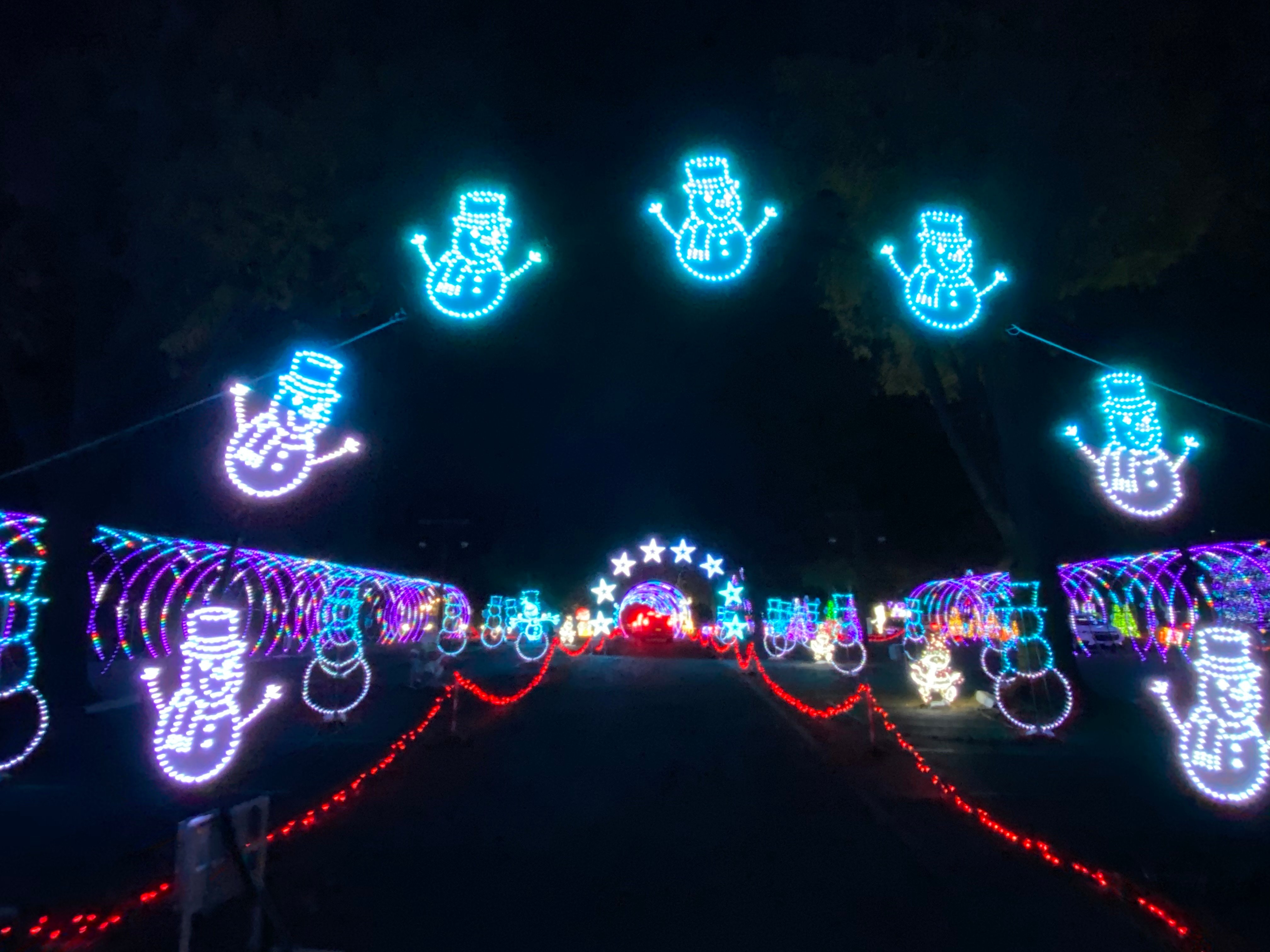 Review of Christmas in Color A DriveThru Event *PROMO CODE